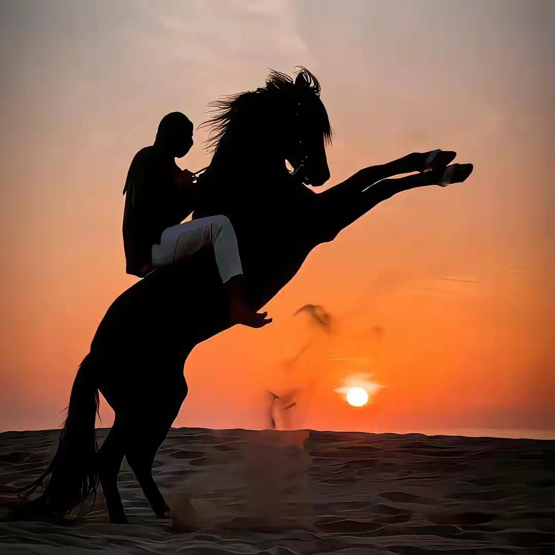 帅气不露脸男生头像