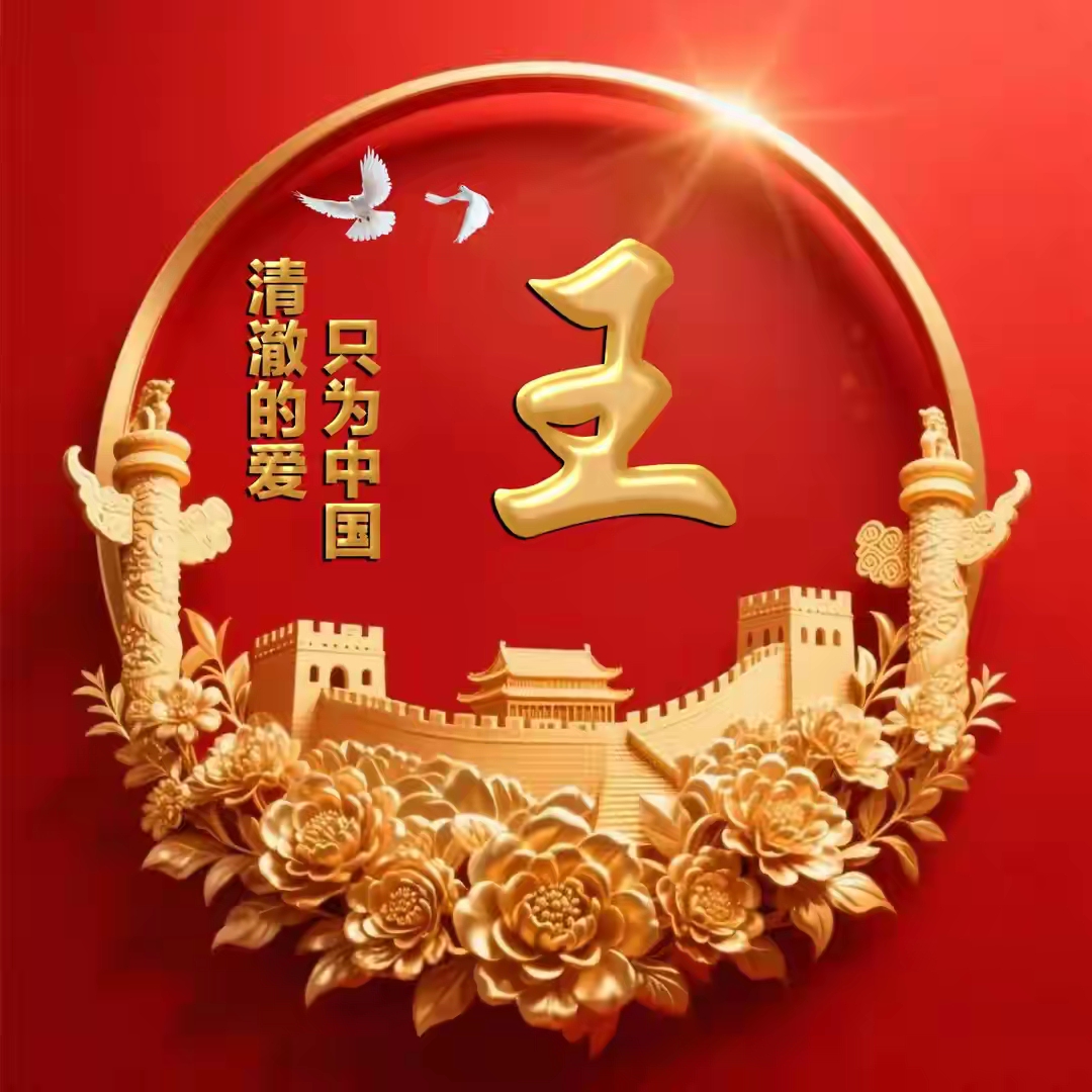 爱国主题姓氏微信头像:清澈的爱,只为中国