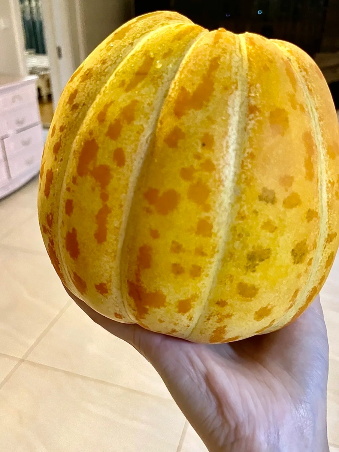 院子里栽了几棵面瓜都成熟了,老妈最喜欢吃这一口,摘了几个给老妈