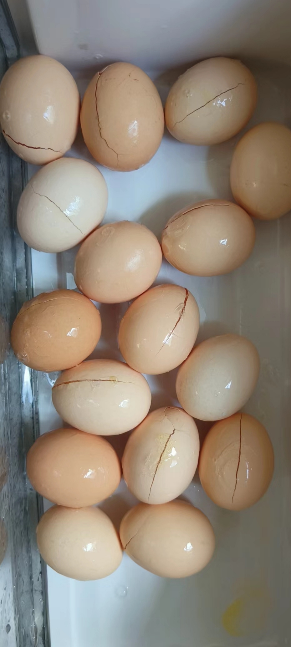 前些日子去朋友家的养鸡场买了一些跑山鸡蛋回来,买的太多了吃不完,天