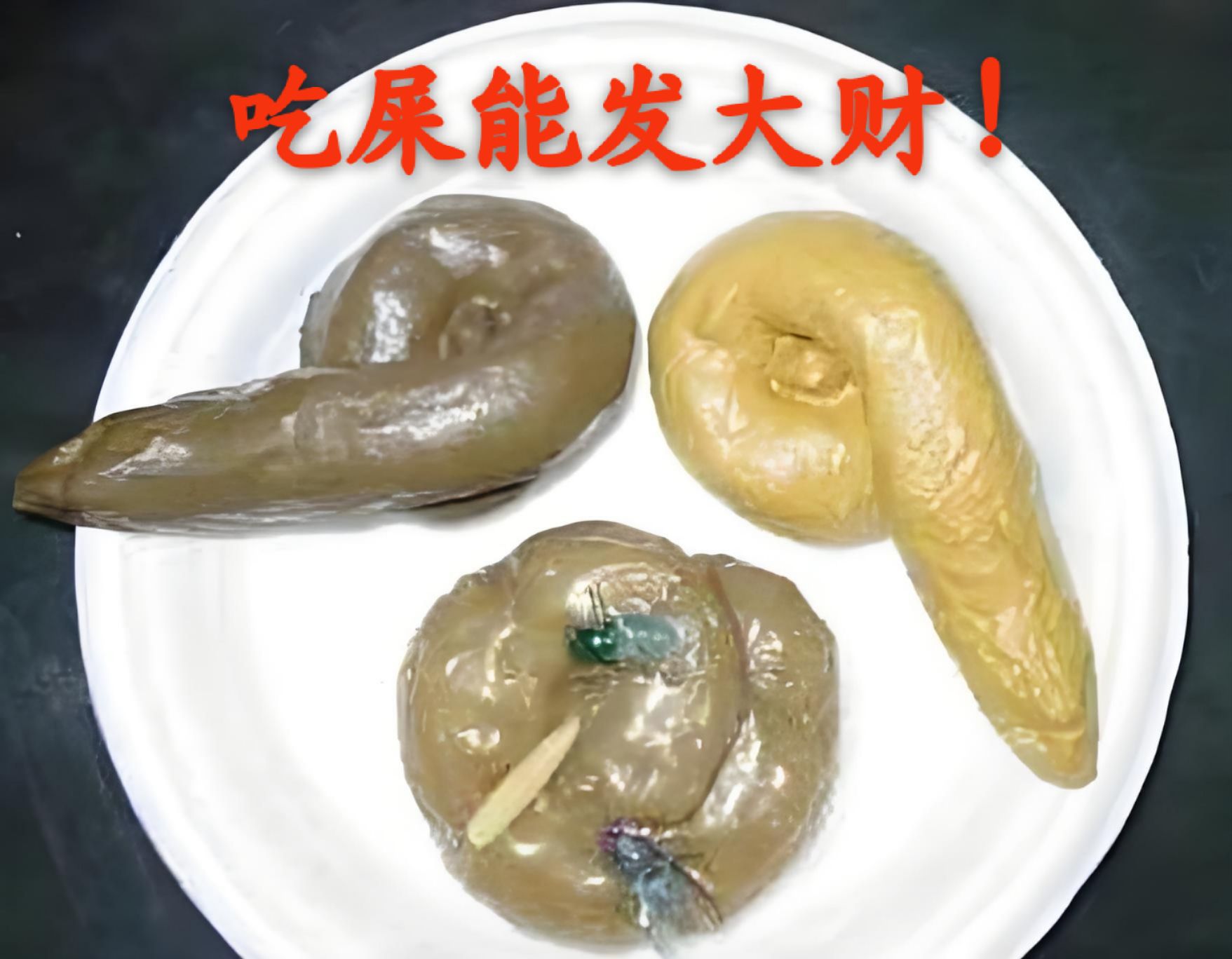 大佬透露一个秘密给我,问我研究玄学知道不知道一个绝密的发财方法,我