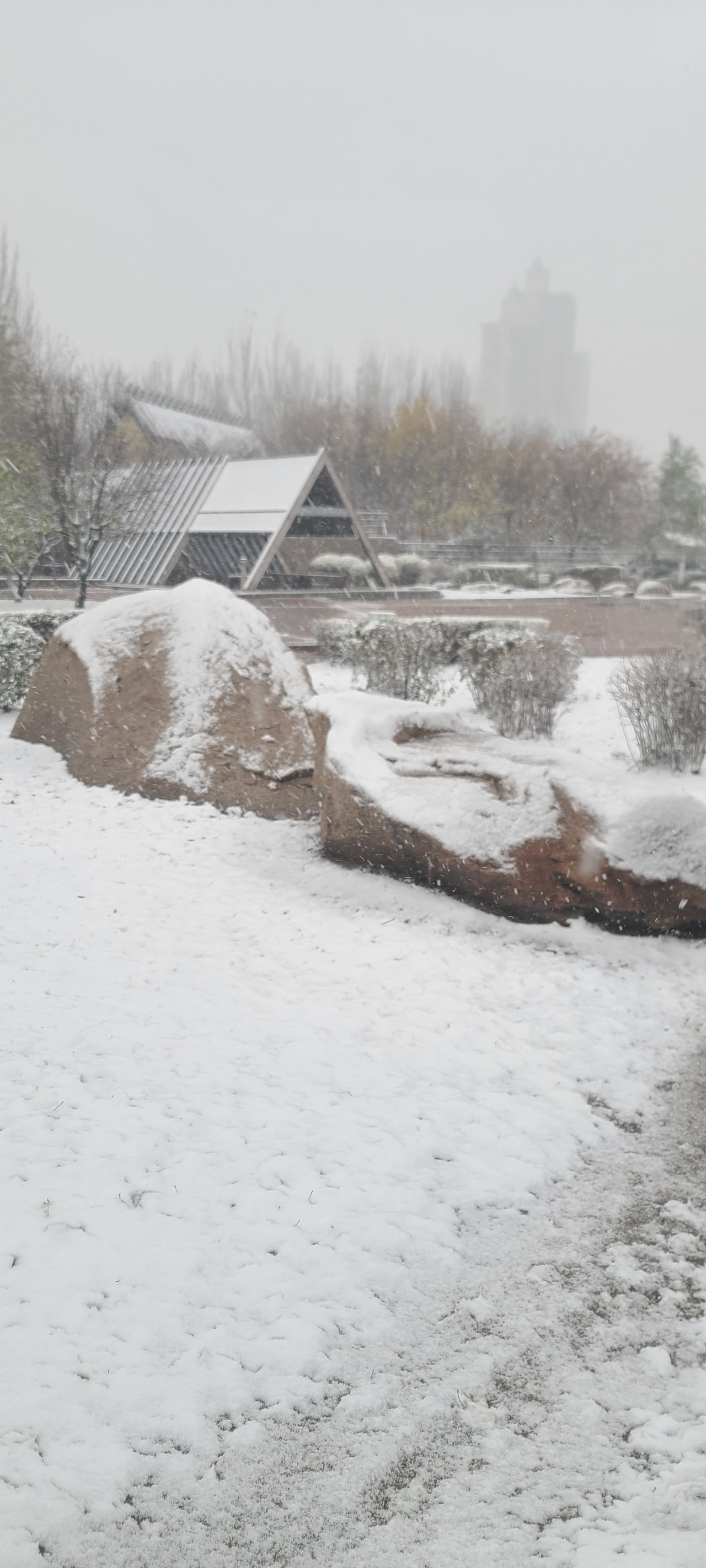 鞍山下雪图片图片