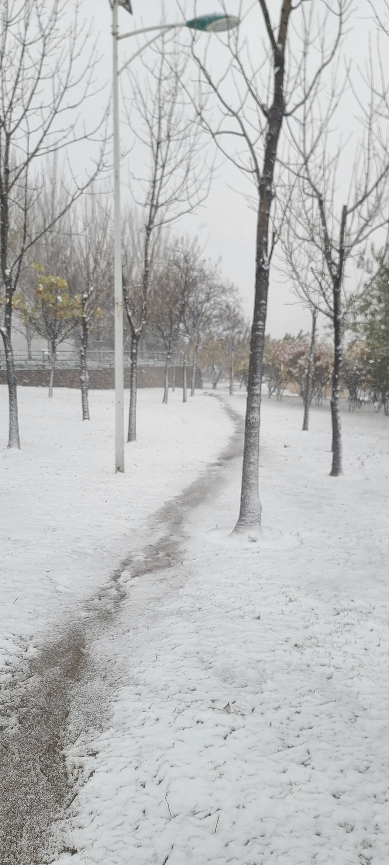 鞍山下雪图片图片