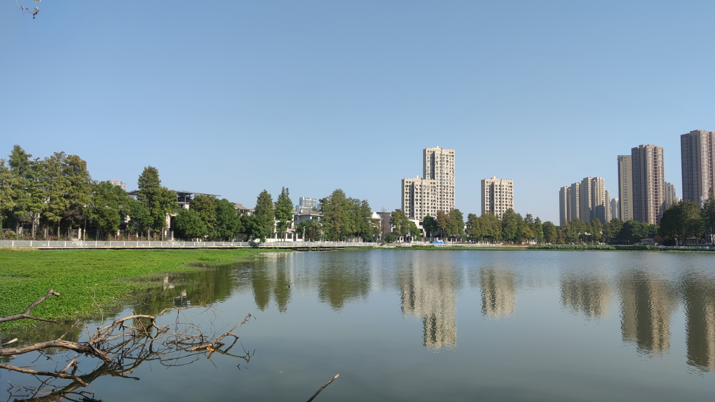 武汉江岸区终于解封了,再次来塔子湖,阳光好,心情好!