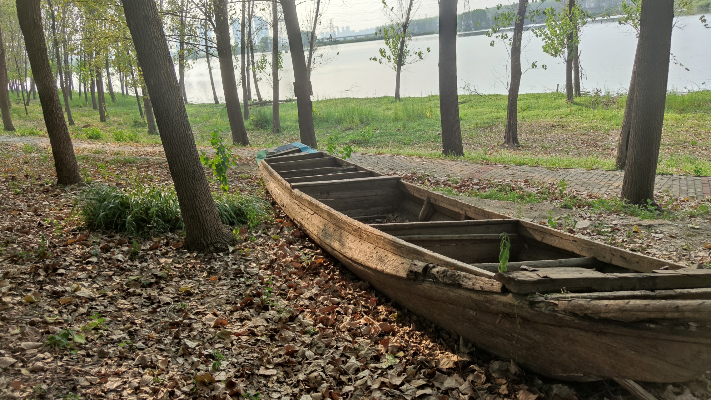 偶遇张公堤森林公园最北端.更野性!更撒野!