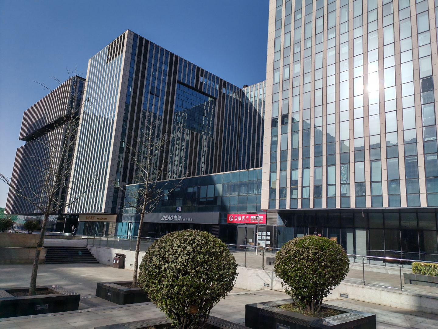 玻璃栏杆内,绿意盎然,植物与灌木为繁忙的都市生活带来一丝宁静