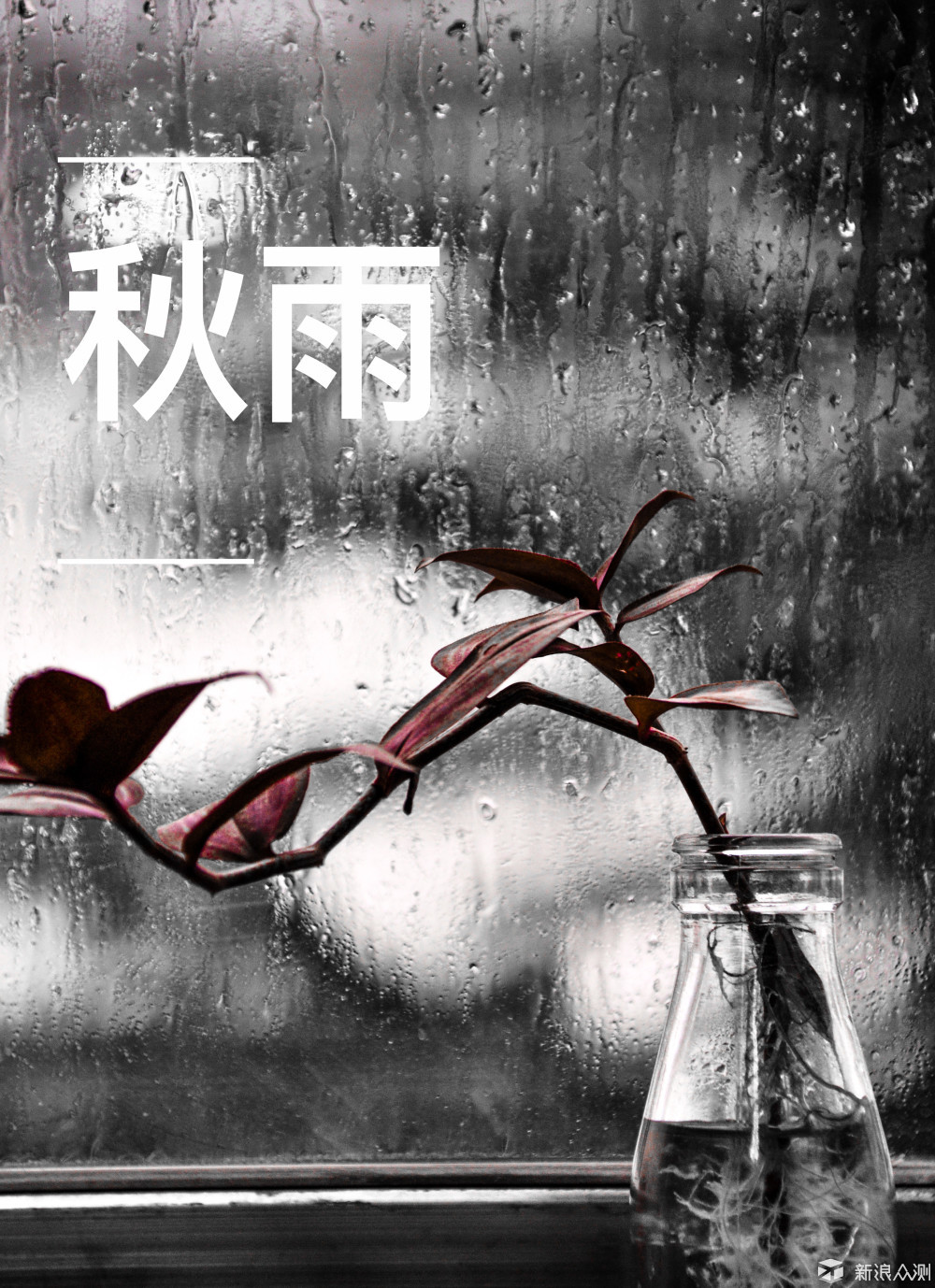 处暑节气话秋雨 天上下的雨,本是自然界的一种自然现象,但是它与所在
