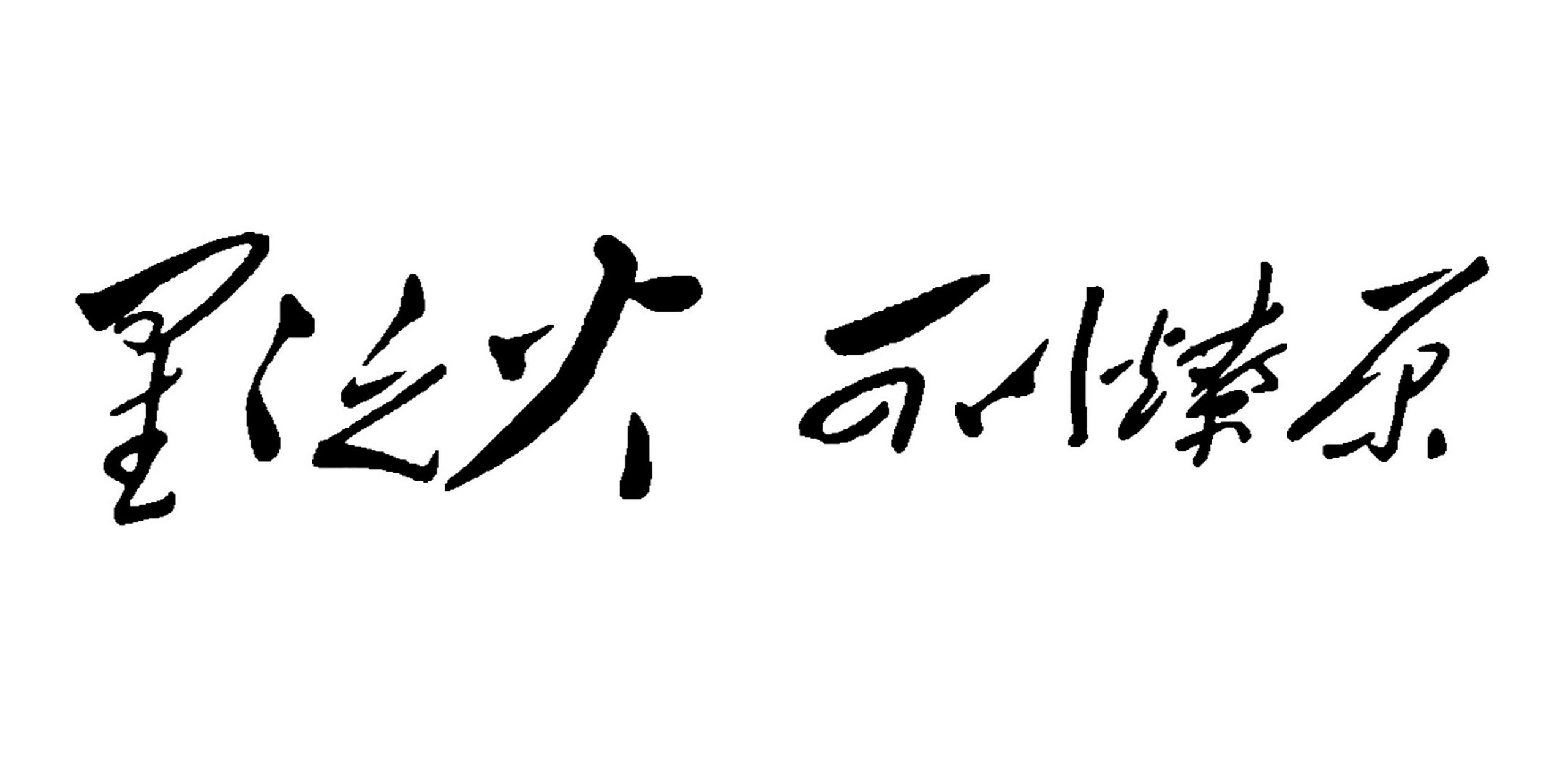 星星之火 可以燎原 哲理 思想 毛体书法 书法艺术