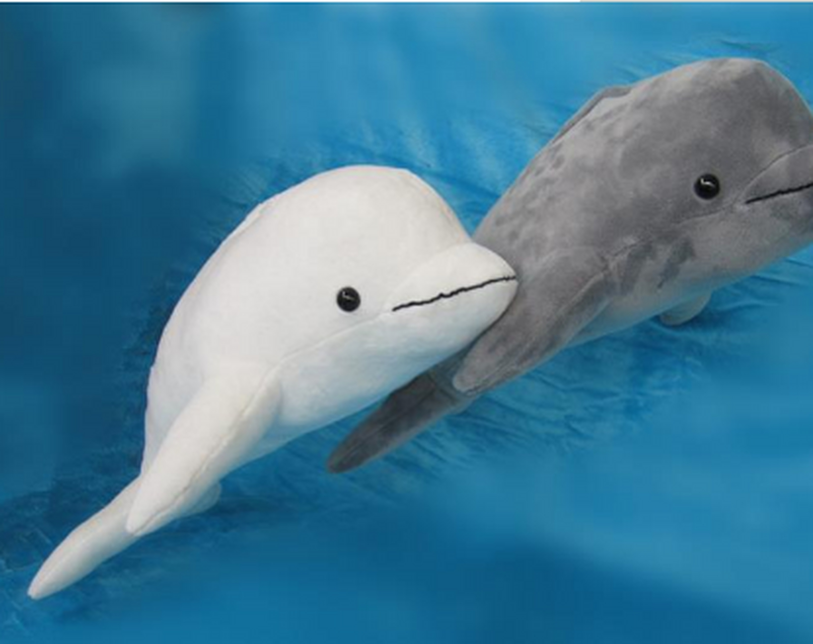 白鳍豚 白鳍豚是世界上最大的淡水豚类,属国家一级保护动物,目前在