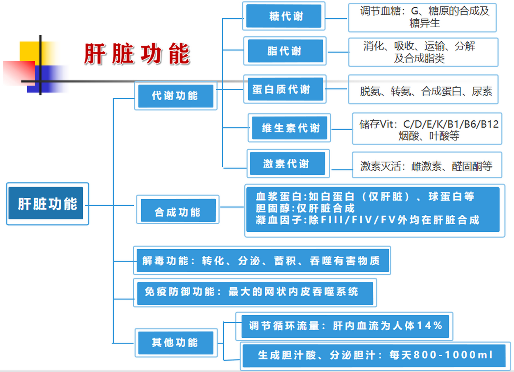 肝脏对人体多种生理功能的正常执行至关重要,你对肝脏了解吗?