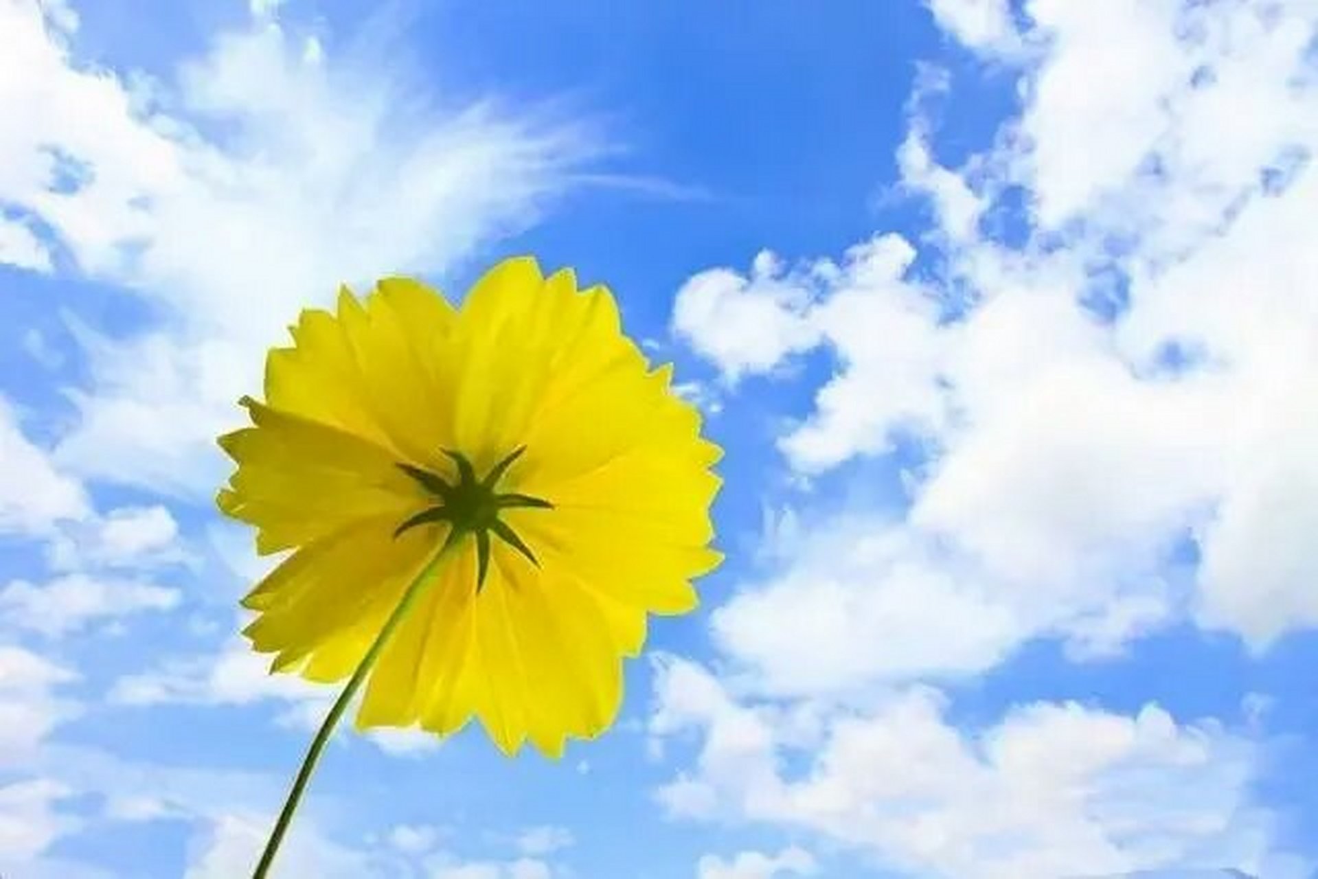 最近很喜欢的一段话:半生已过,学会沉默.