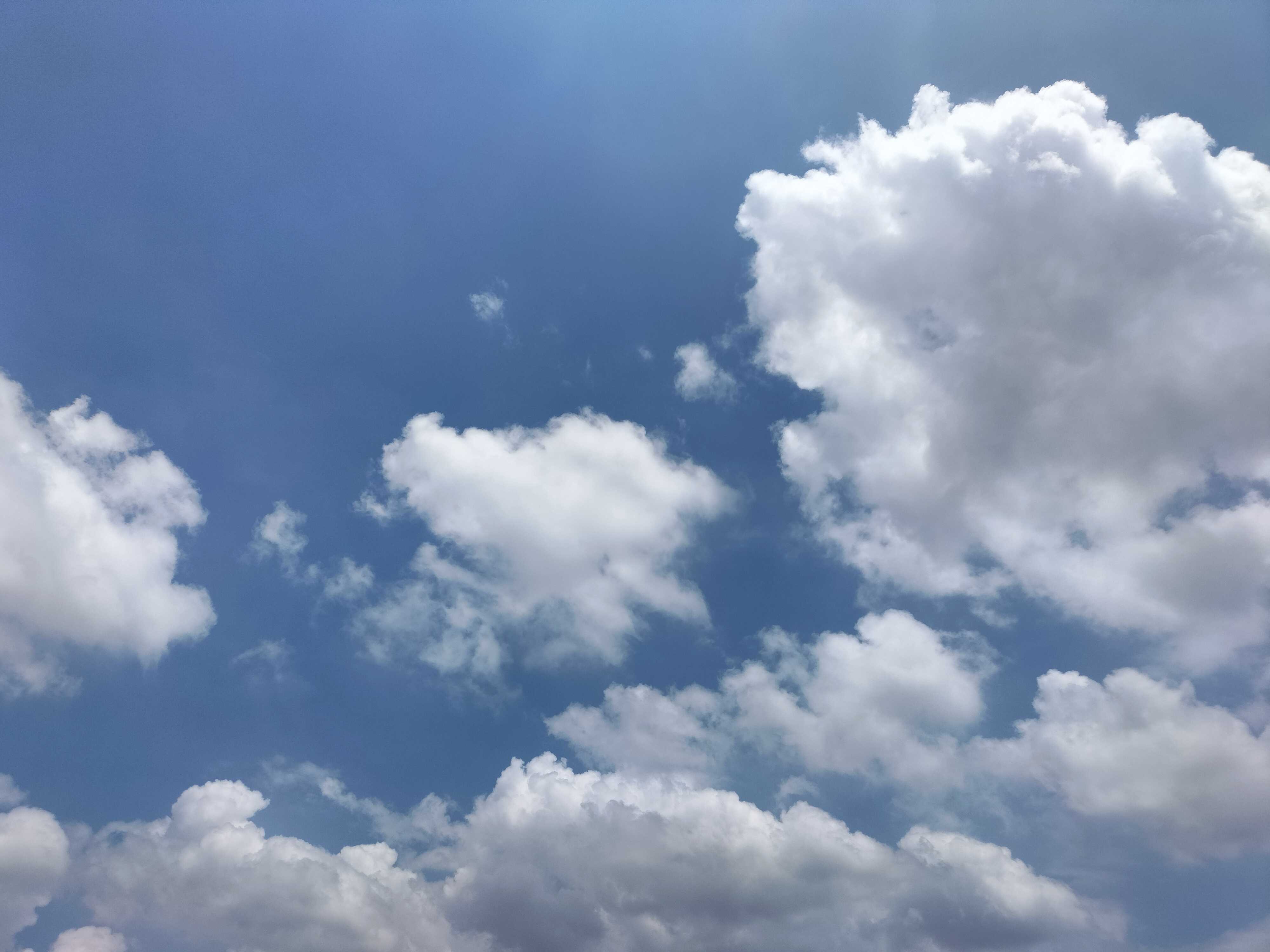 《归故里》叶果: