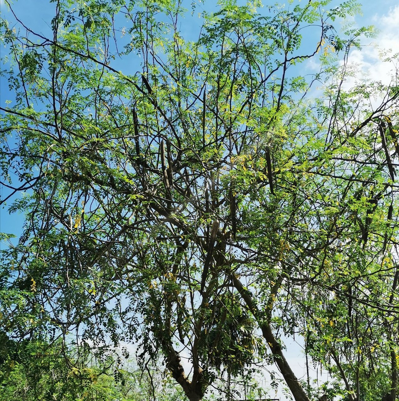 牛肉几分熟用英语怎么说?