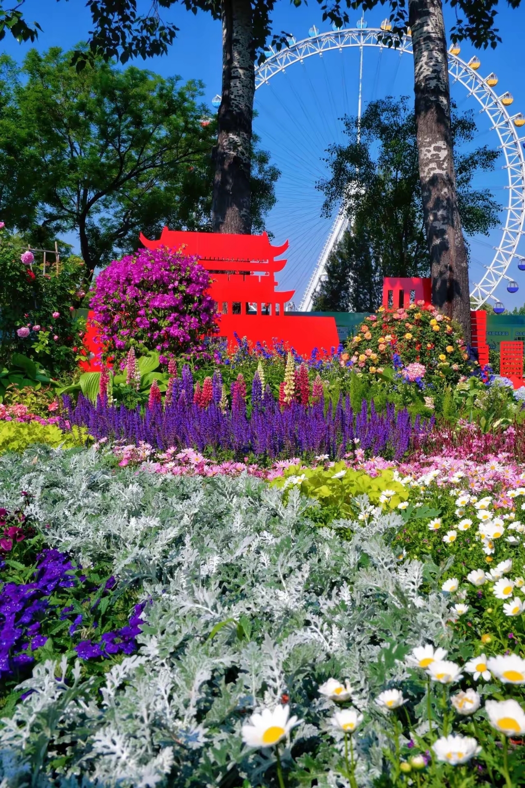 公园里的花朵开得绚丽多彩,真叫人喜爱… #治愈系景色观赏# #植物园