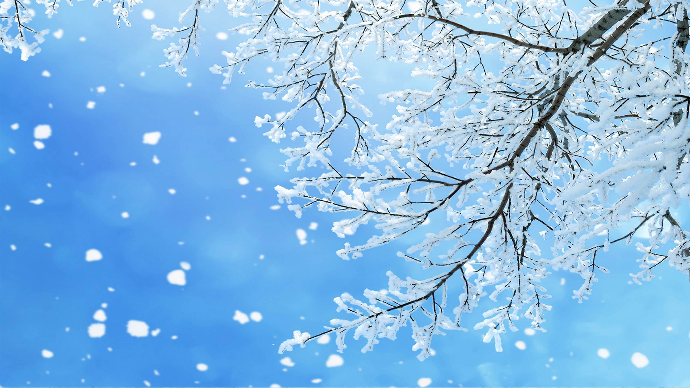 (坡底韵)《雪情》(平水韵平声六麻)  纷飞白雪落千家, 银裹山川收物华