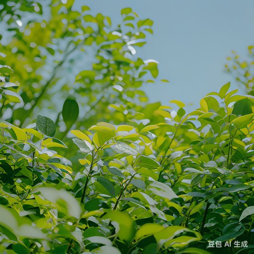 在这张图片中,一棵绿色植物静静地生长着,它的树叶绿得如此鲜明,仿佛