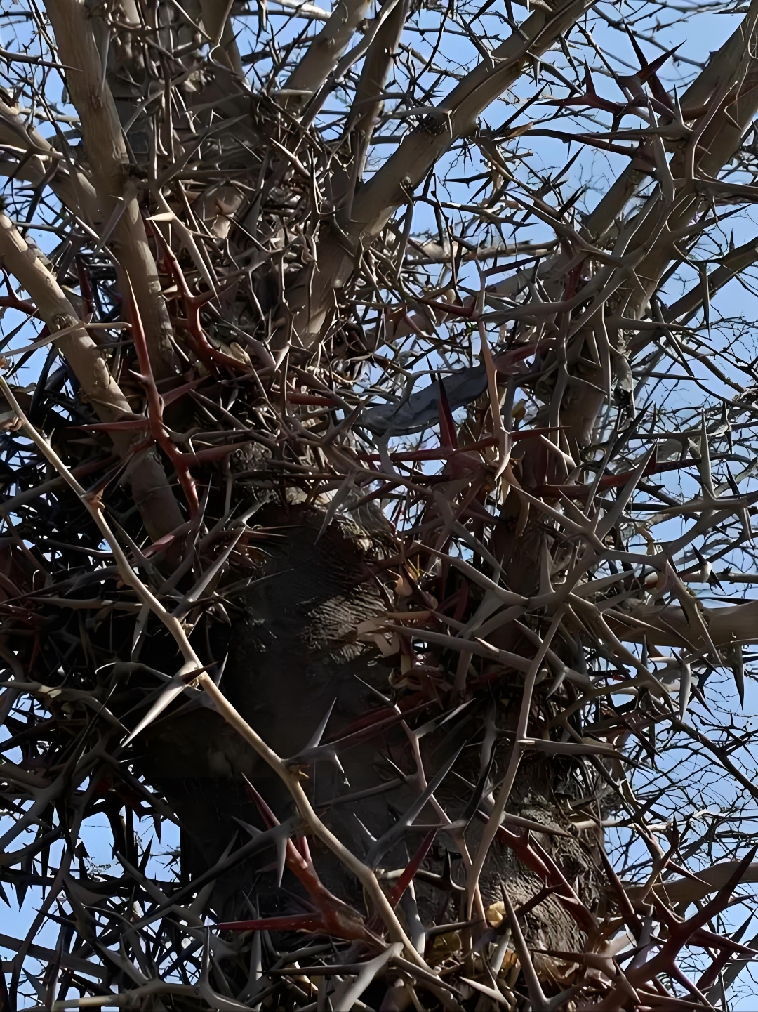 想起了很多事.突然很怀念以前的自己,三十几岁的人啦!