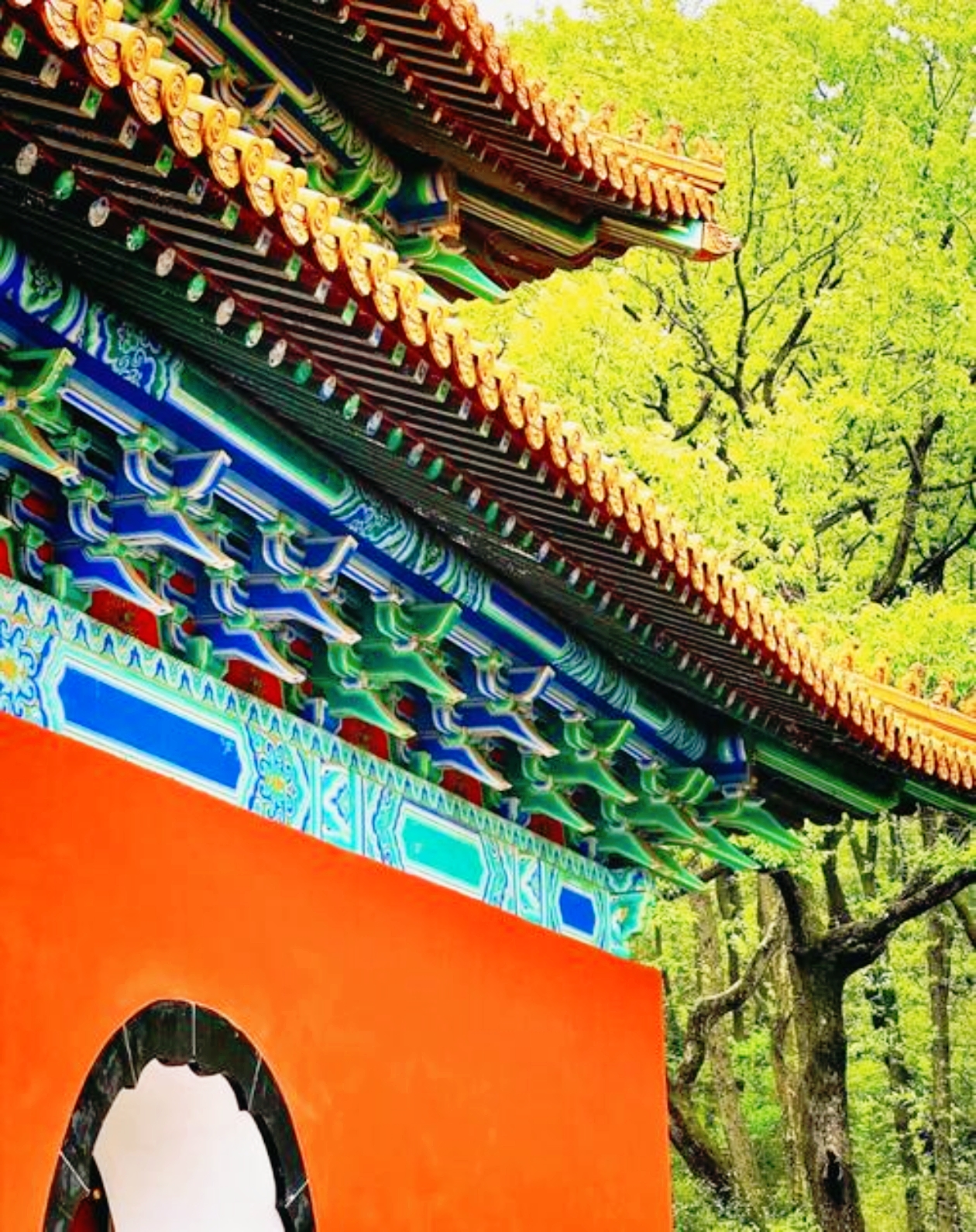 咏明孝陵 落魄英雄未可轻 何妨讨饭又为僧