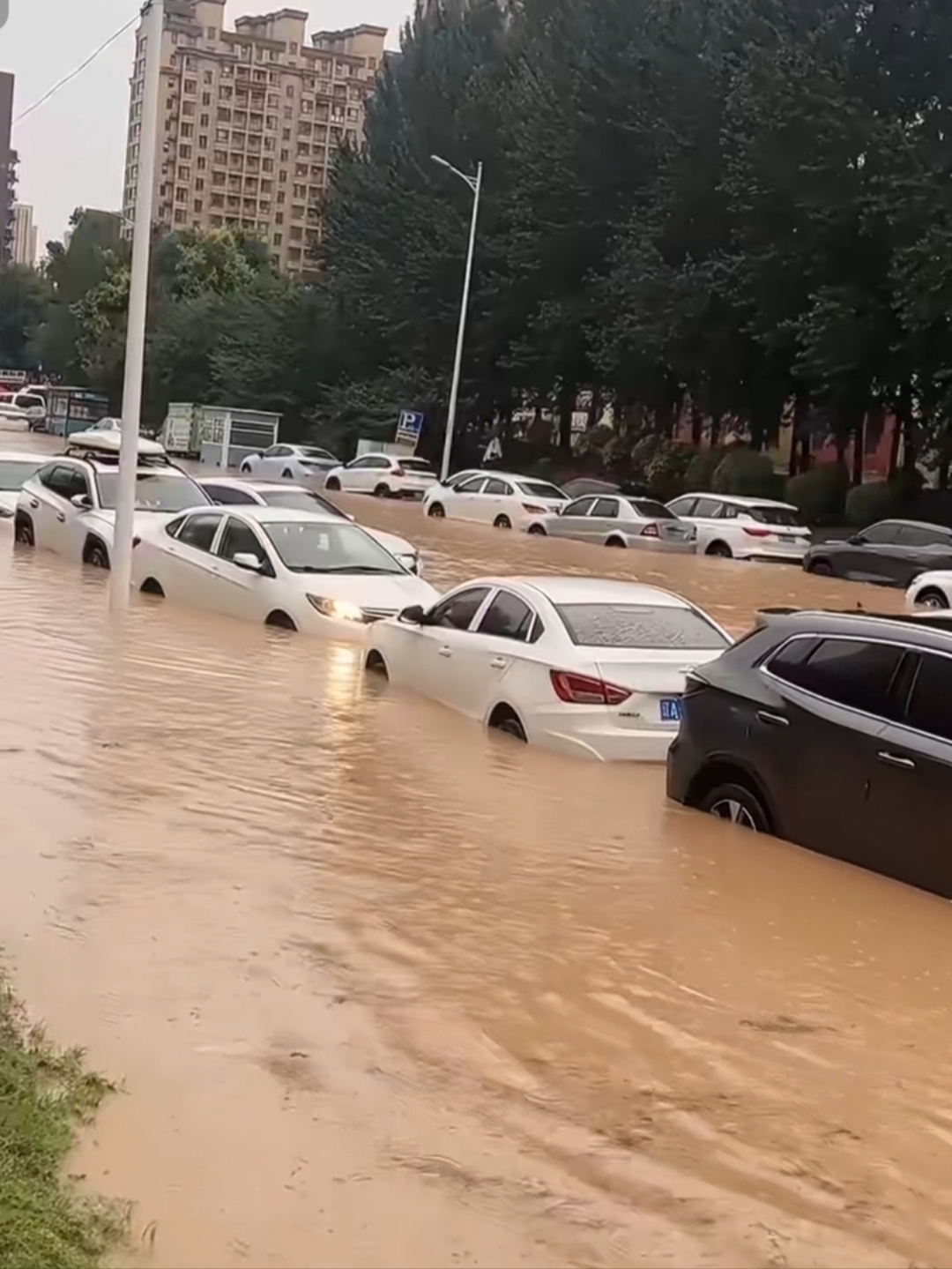 沈阳突如其来的大暴雨,昨晚有多少人是在夜里3点多被一阵急促的大雨声