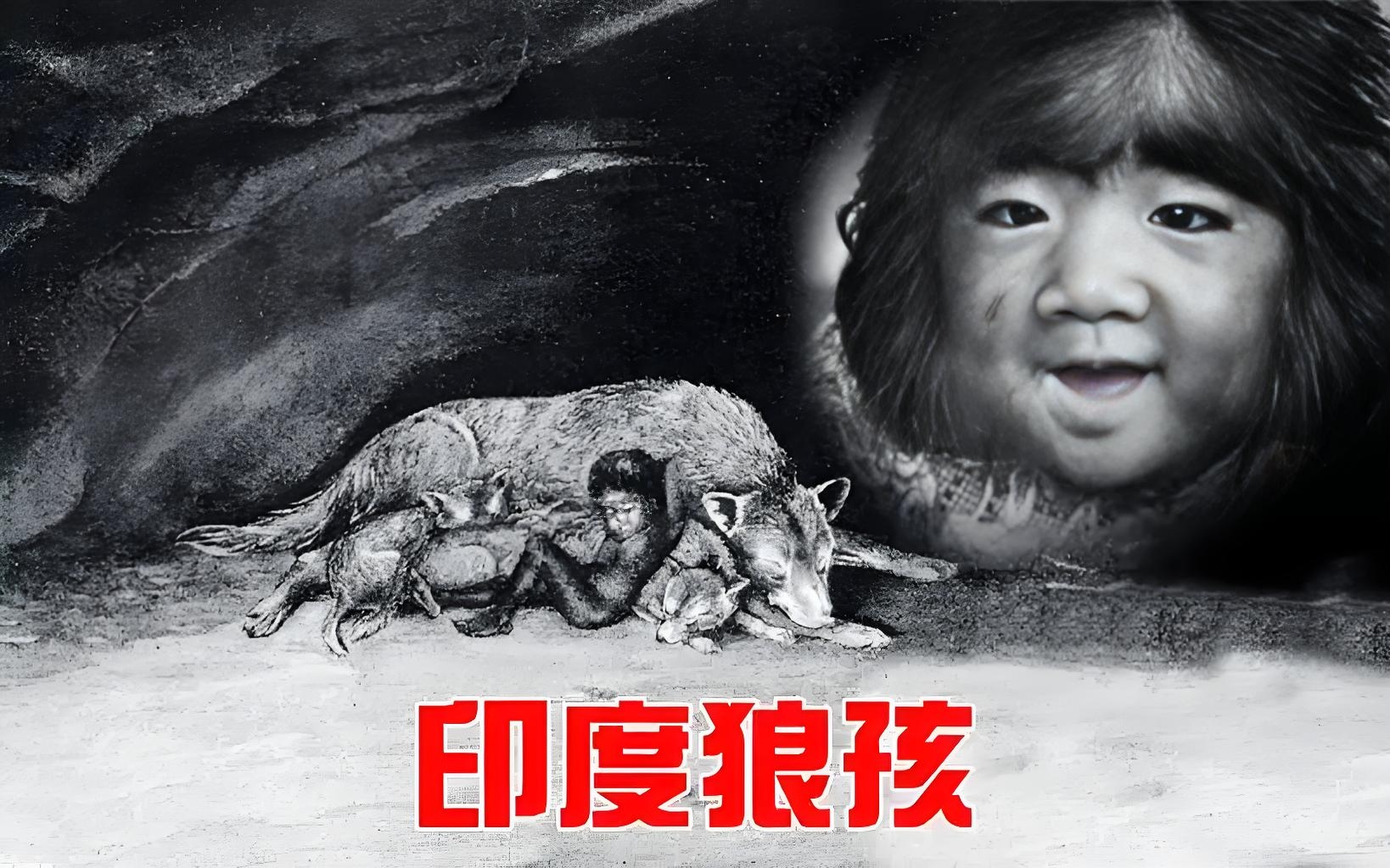 印度"狼孩"的故事[咖啡]