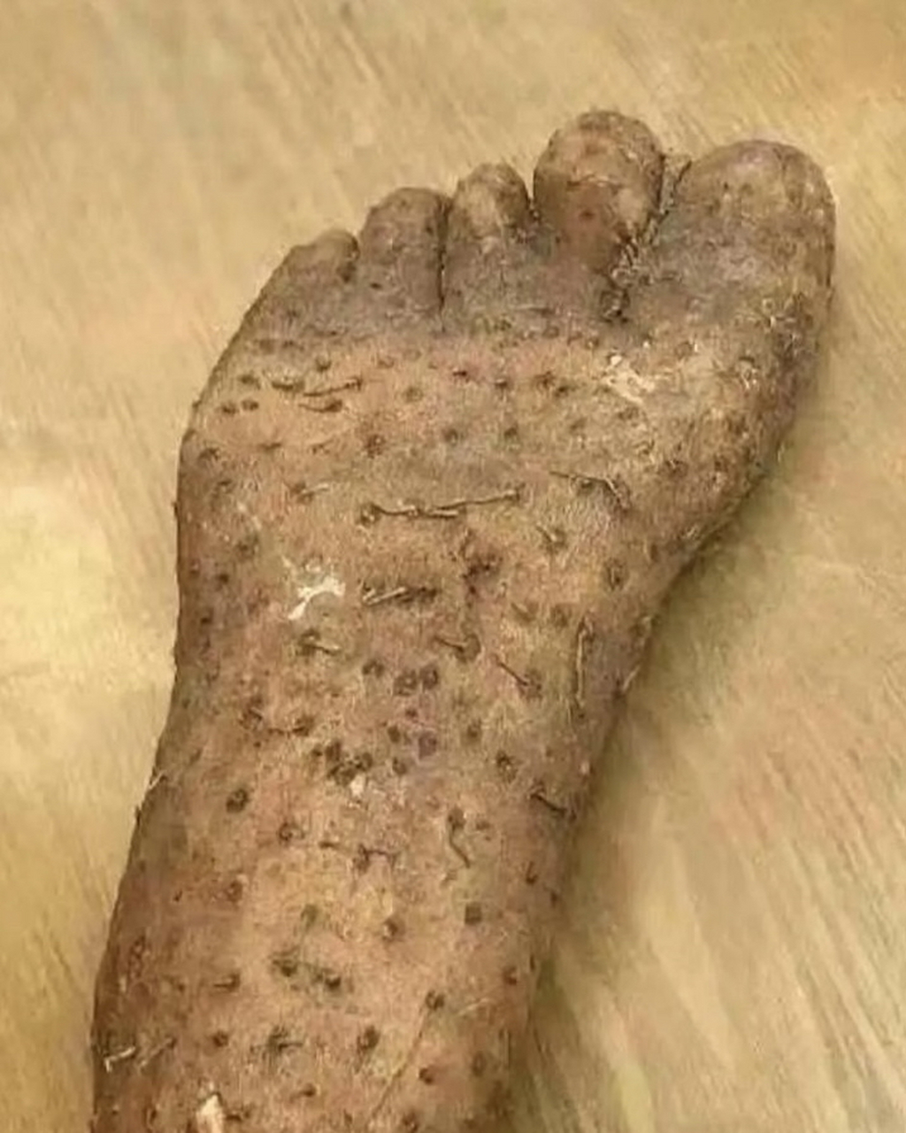 江湖一派一姐闪亮登场 快快起开 酷酷的样子真呀真可爱