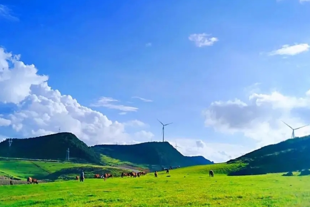 年九月 普者黑  舍得草场草原牧歌云南舍得草场文山舍得草场草场图片