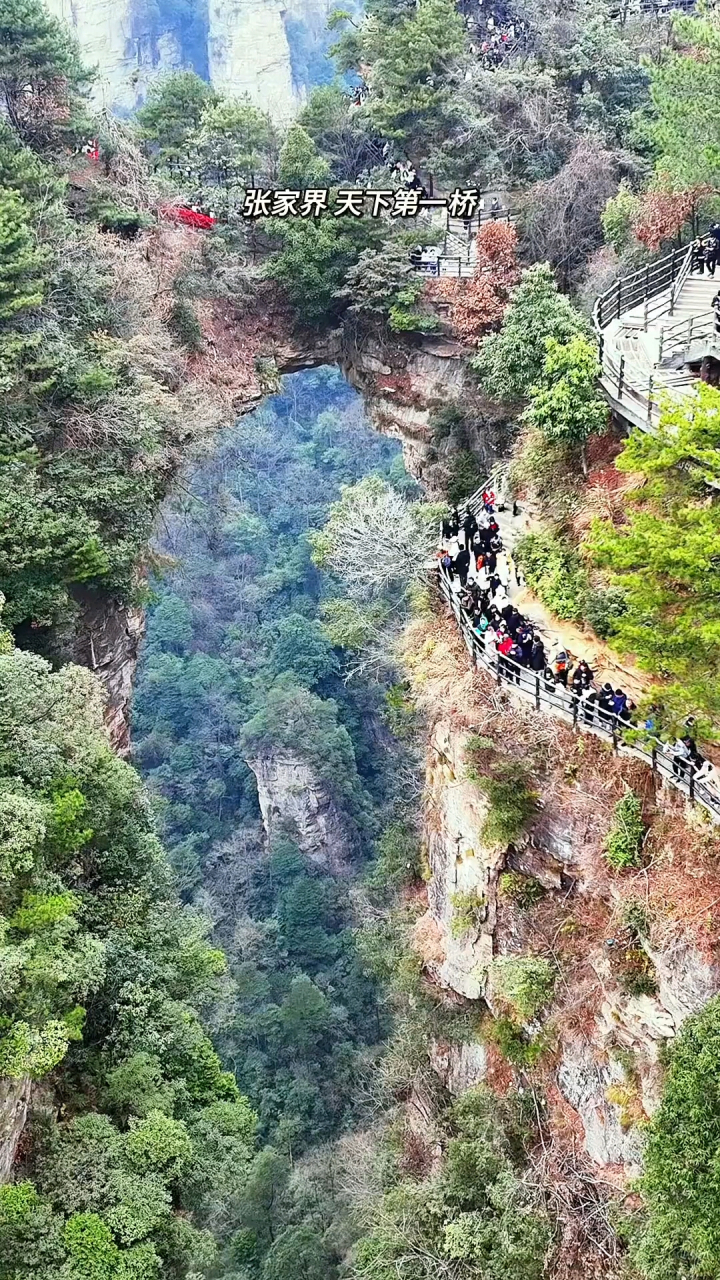 鬼桥长图图片