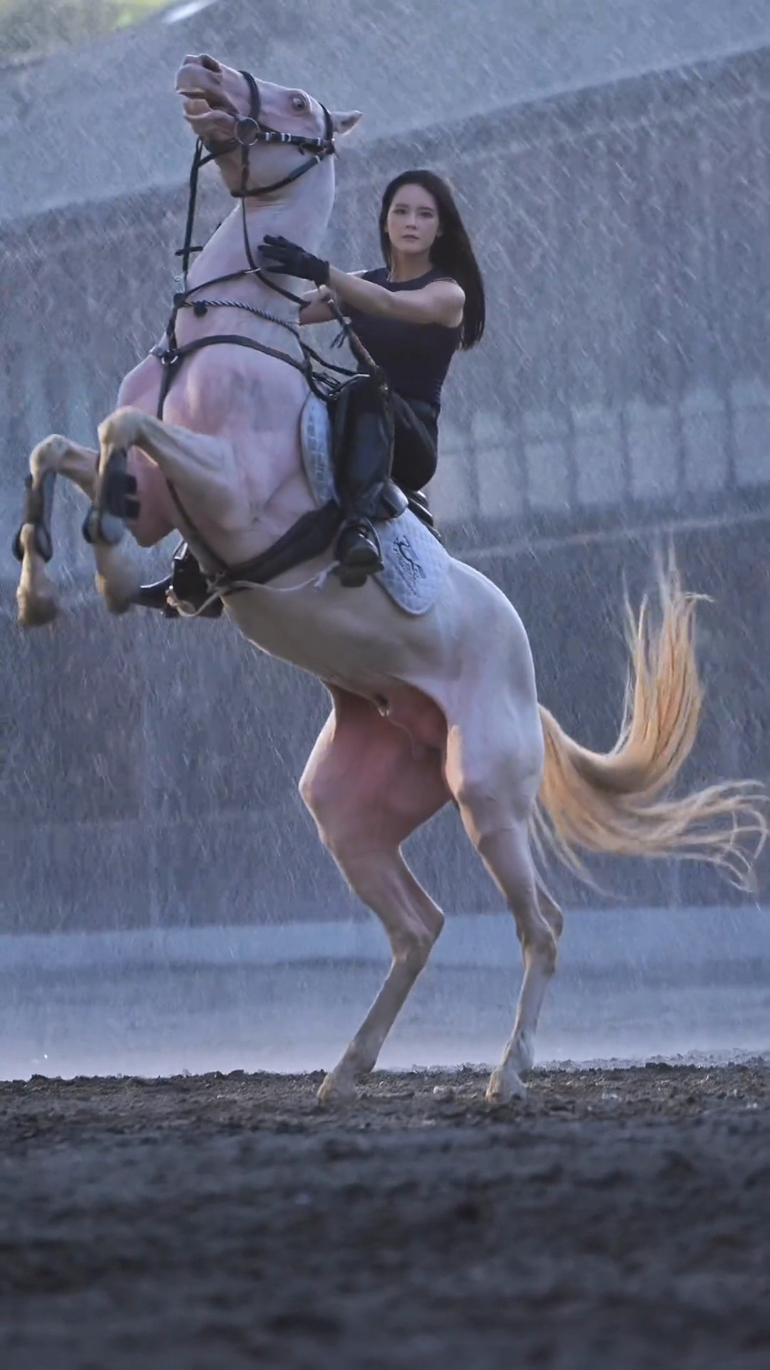 骑马英姿飒爽女骑士骑马的图片汗血宝马与骑士图片女骑士骑马汗血宝马