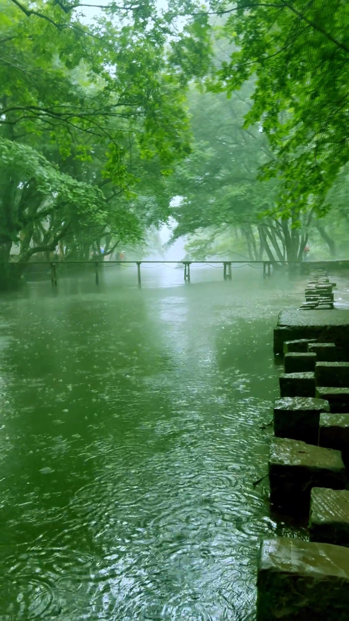 江南雨图片唯美大全图片