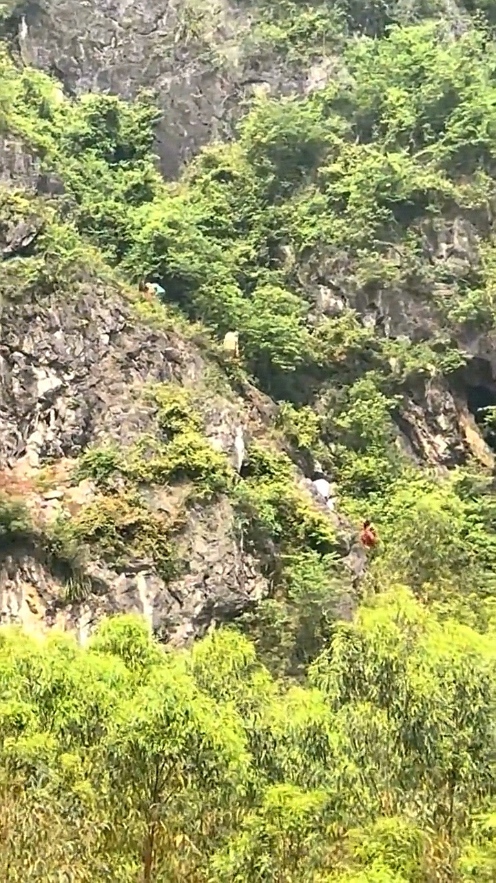 清明时节,祭山拜祖,广东地区扫墓称作"拜山".这是华南地区拜山的场景.