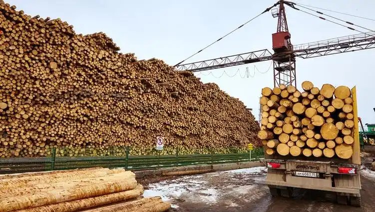 俄罗斯最好卖的中国商品(俄罗斯最好卖的中国商品2024)