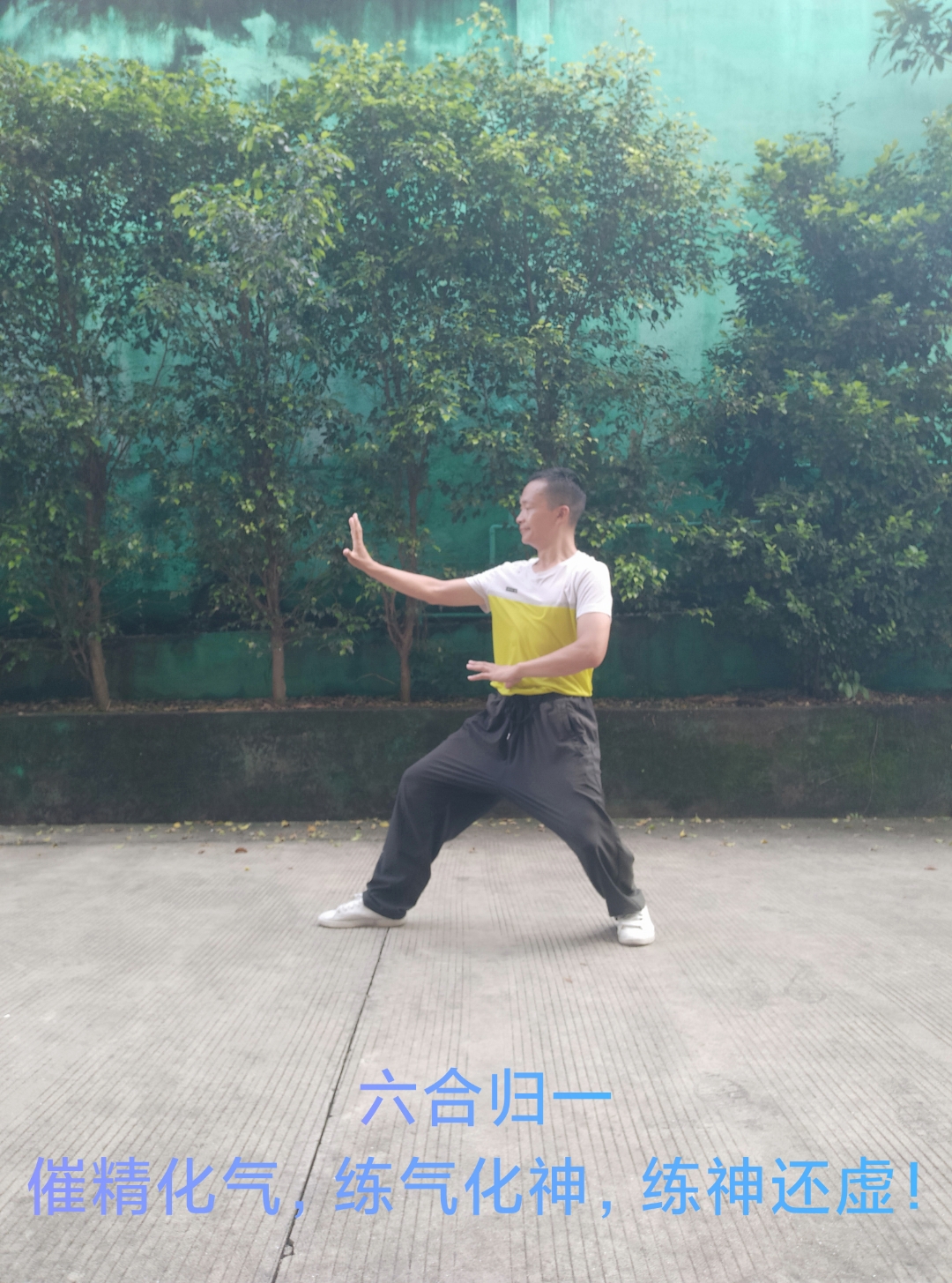 八卦掌桩功 无极 太极 两仪 三才 四象 五行 六合 七星 八卦 三才四象