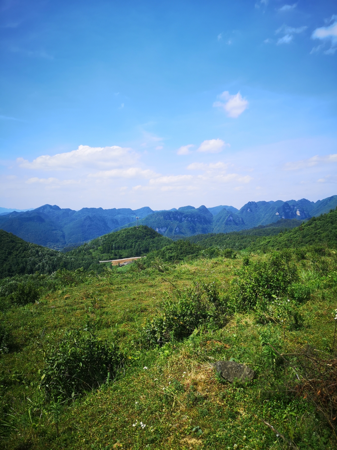 十万大山山山青, 千家万户情意深.