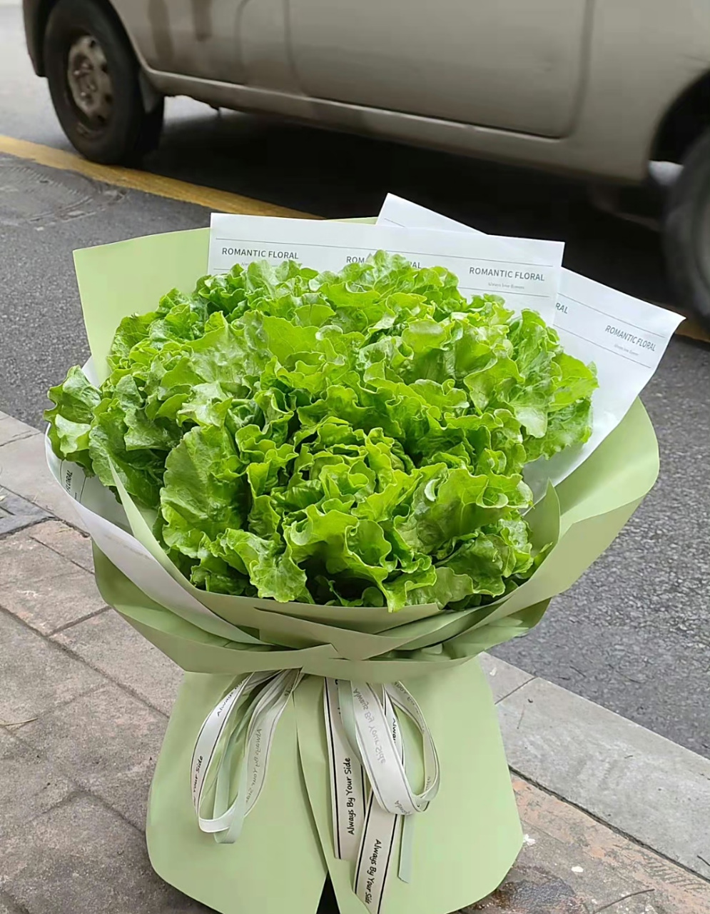 生财花[滑稽][滑稽]懂了吧