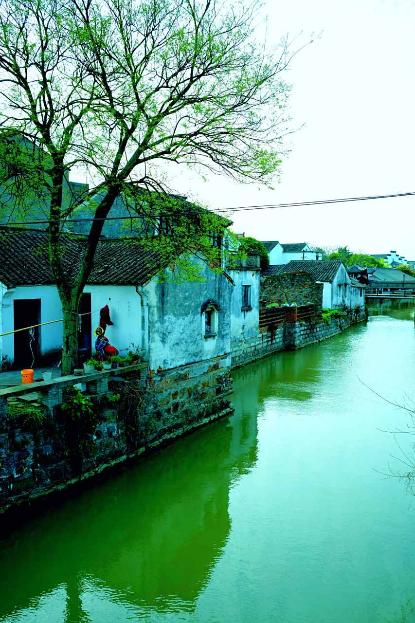 采春风 67       (2)  图片摄于:江苏省无锡市锡山区锡北镇严家桥村
