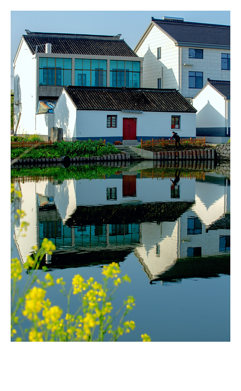 房前屋后春耕忙   图片摄于:江苏省苏州市相城区望亭镇迎湖村 #农村