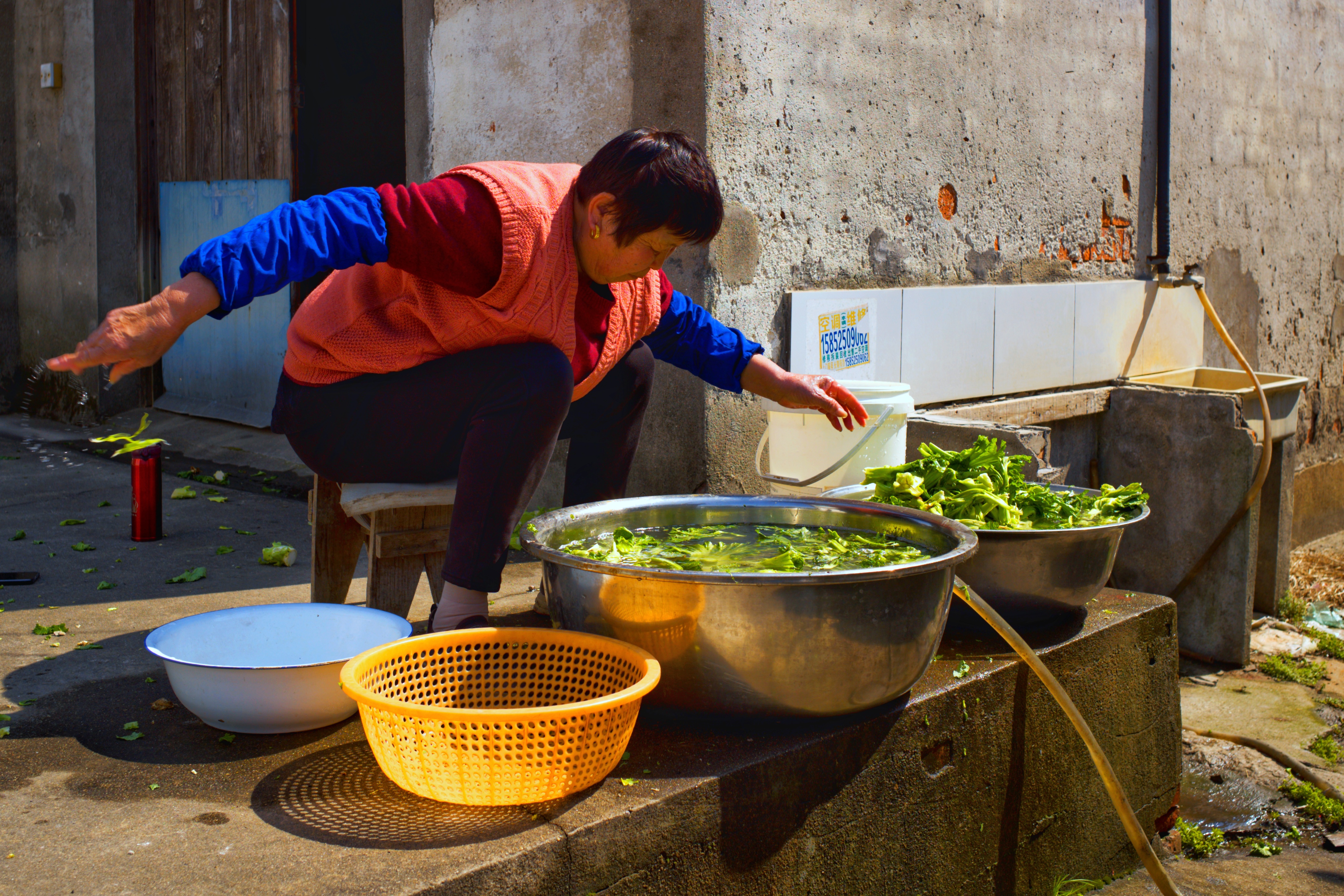 重磅推出 原创组图: ​《老夫老妻洗菜忙》 ​ ​老妇手脚麻利