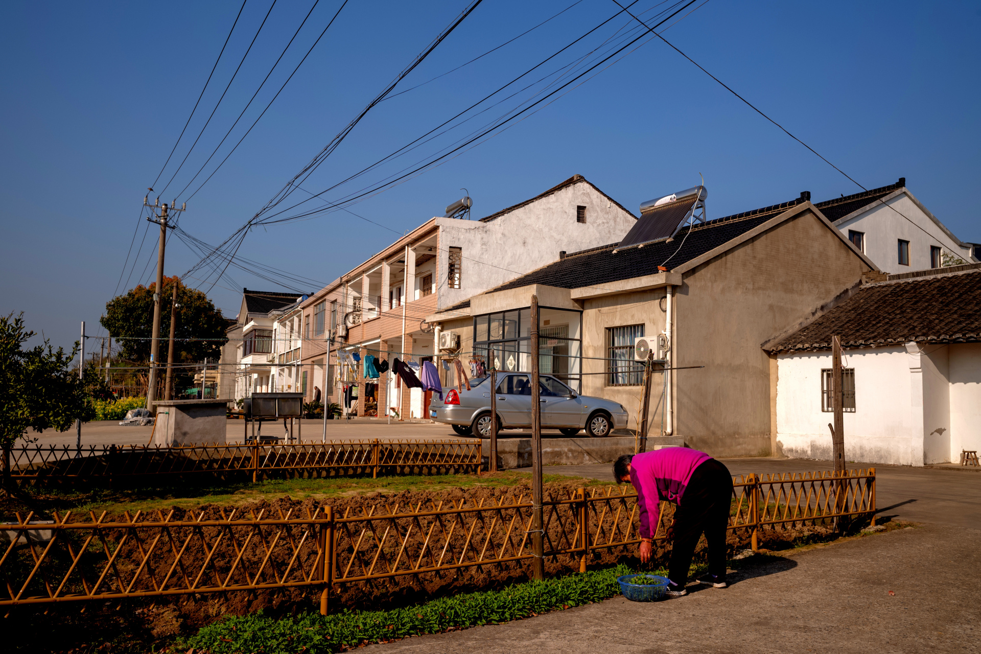 乡村一角  图片摄于:江苏省苏州市相城区望亭镇迎湖村 #摄影爱好者
