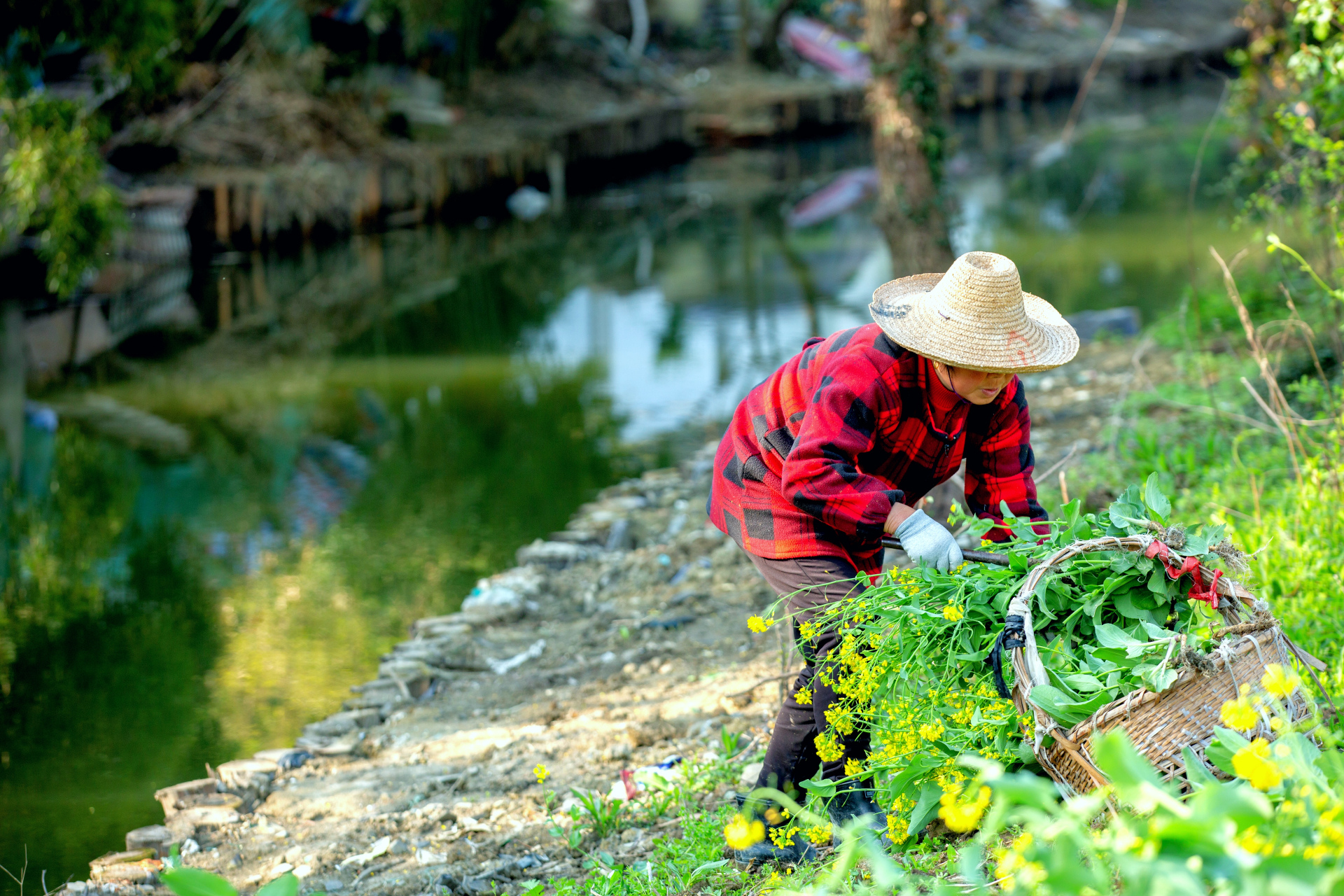 劳动模范早已没她们的份, 两代表一委员也没了她们的身影.