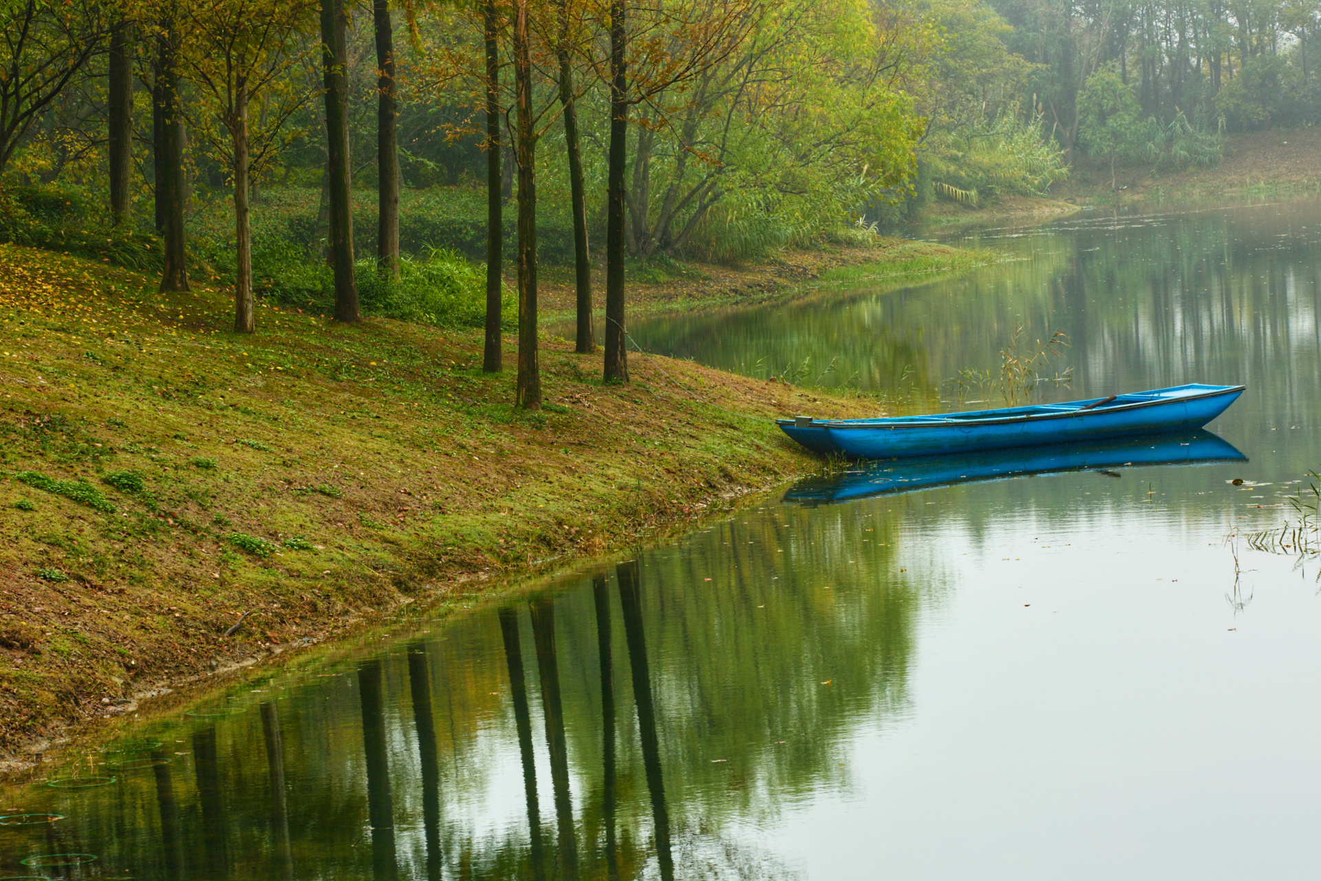 孤鸿落叶一扁舟
