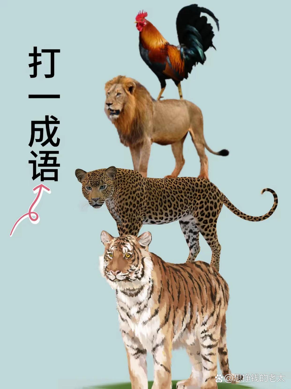 危在旦夕打一生肖动物