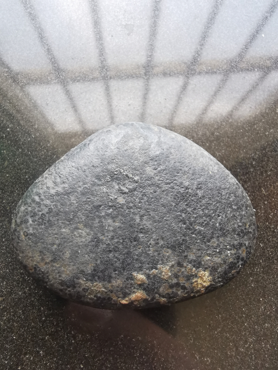 有懂的吗?目测跟潭柘寺石鱼材质一样