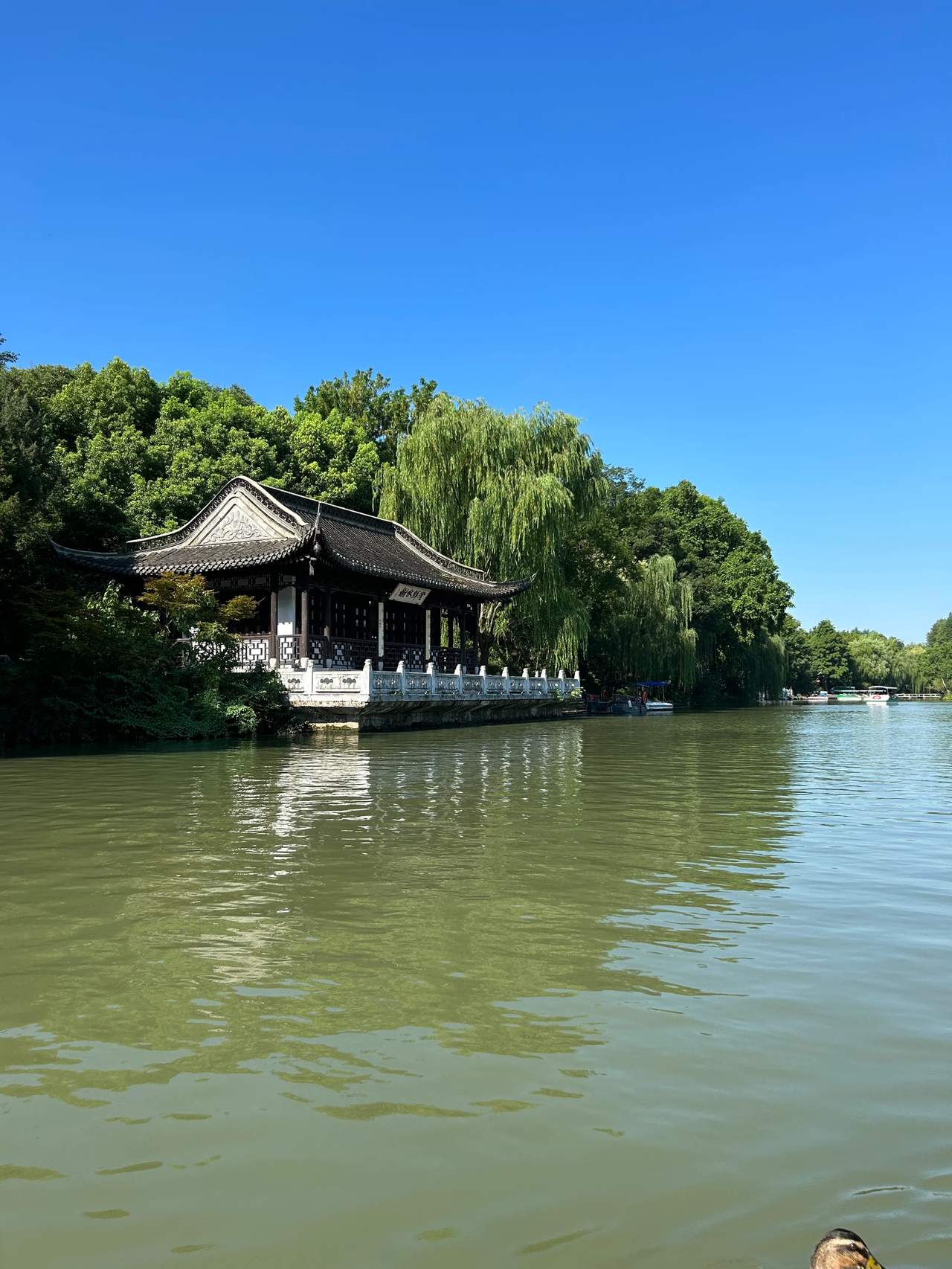 杨州