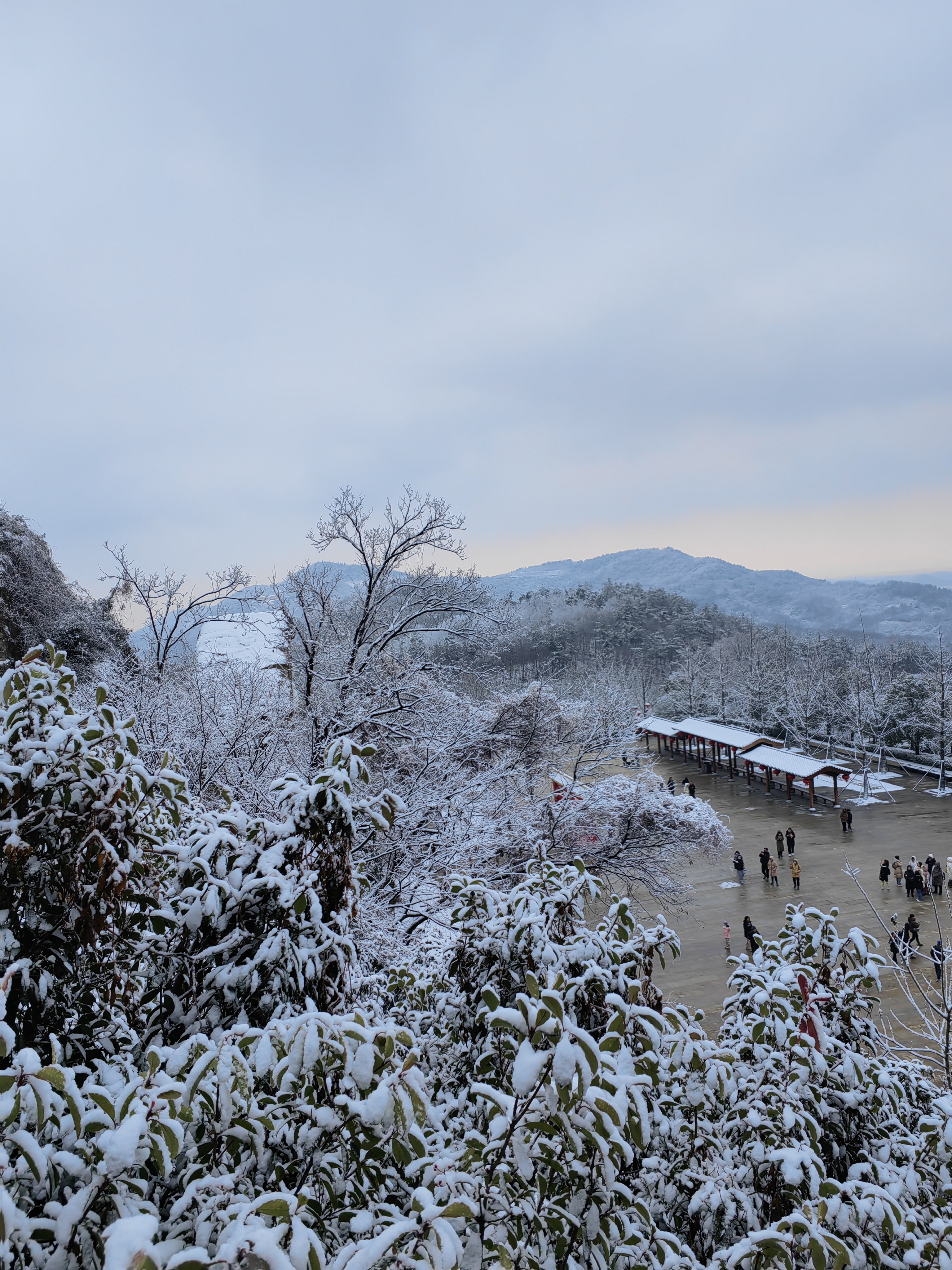 南京下雪天图片图片