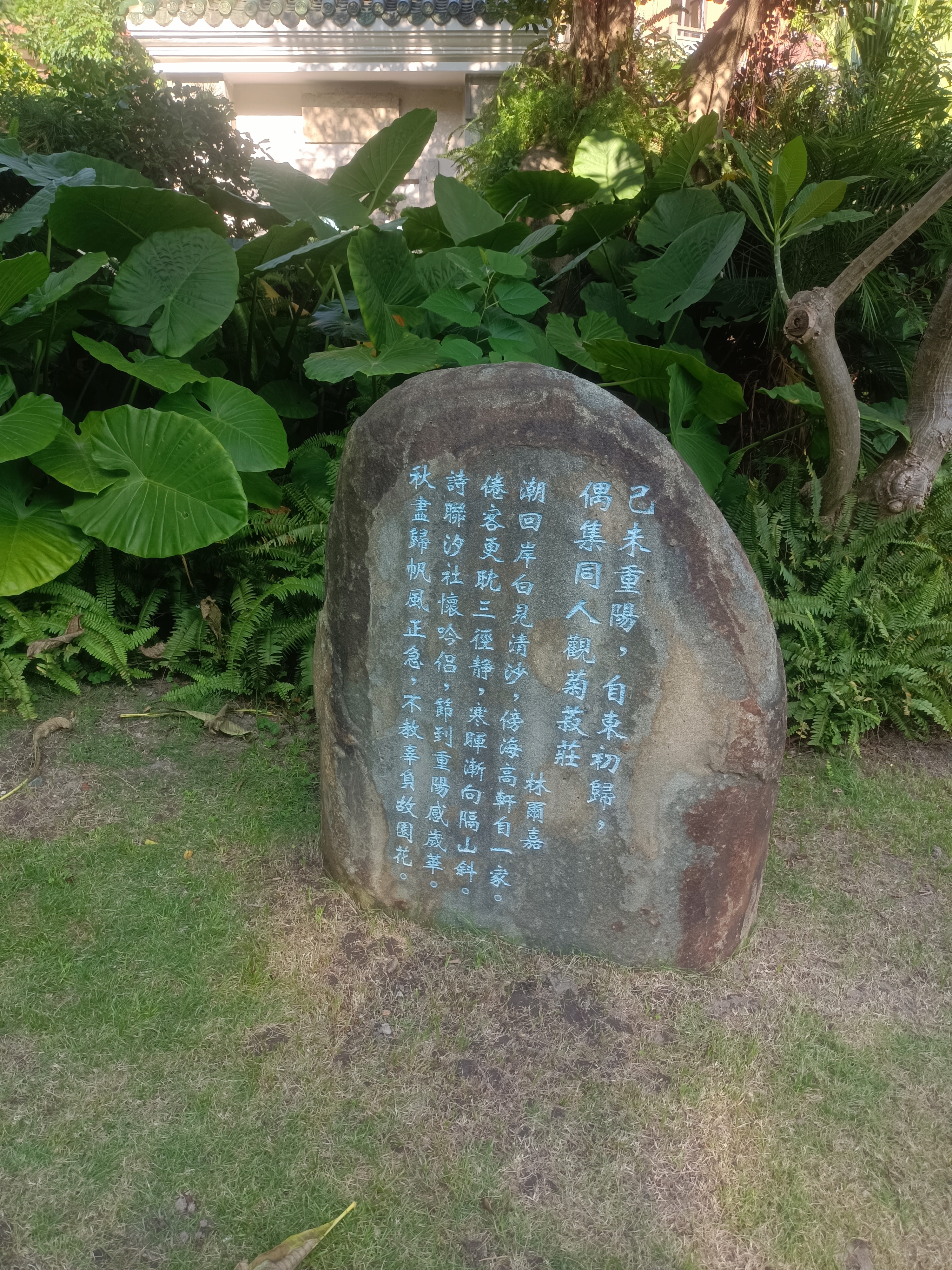 它们虽无言,却用音符诉说着情感,陪伴着每一个寻找