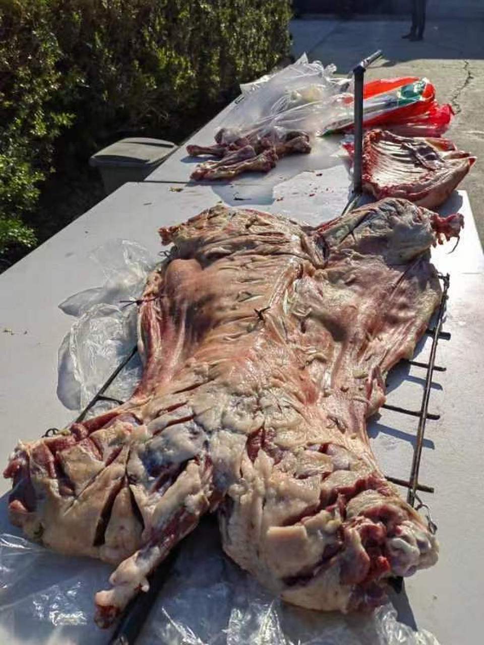 劳在跟法子英icon交往期间,流窜南昌,温州,合肥,杀害7人