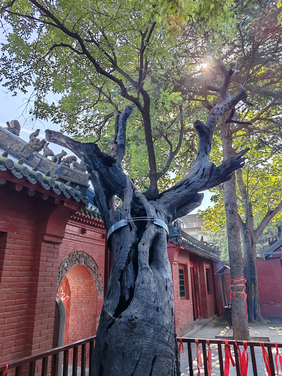 摄影爱好者联盟# 洛阳吕祖庙