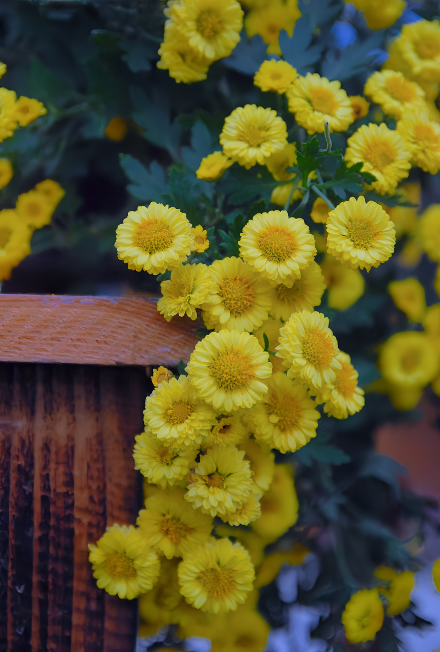 864_1280竖版 竖屏gif 动态图 动图