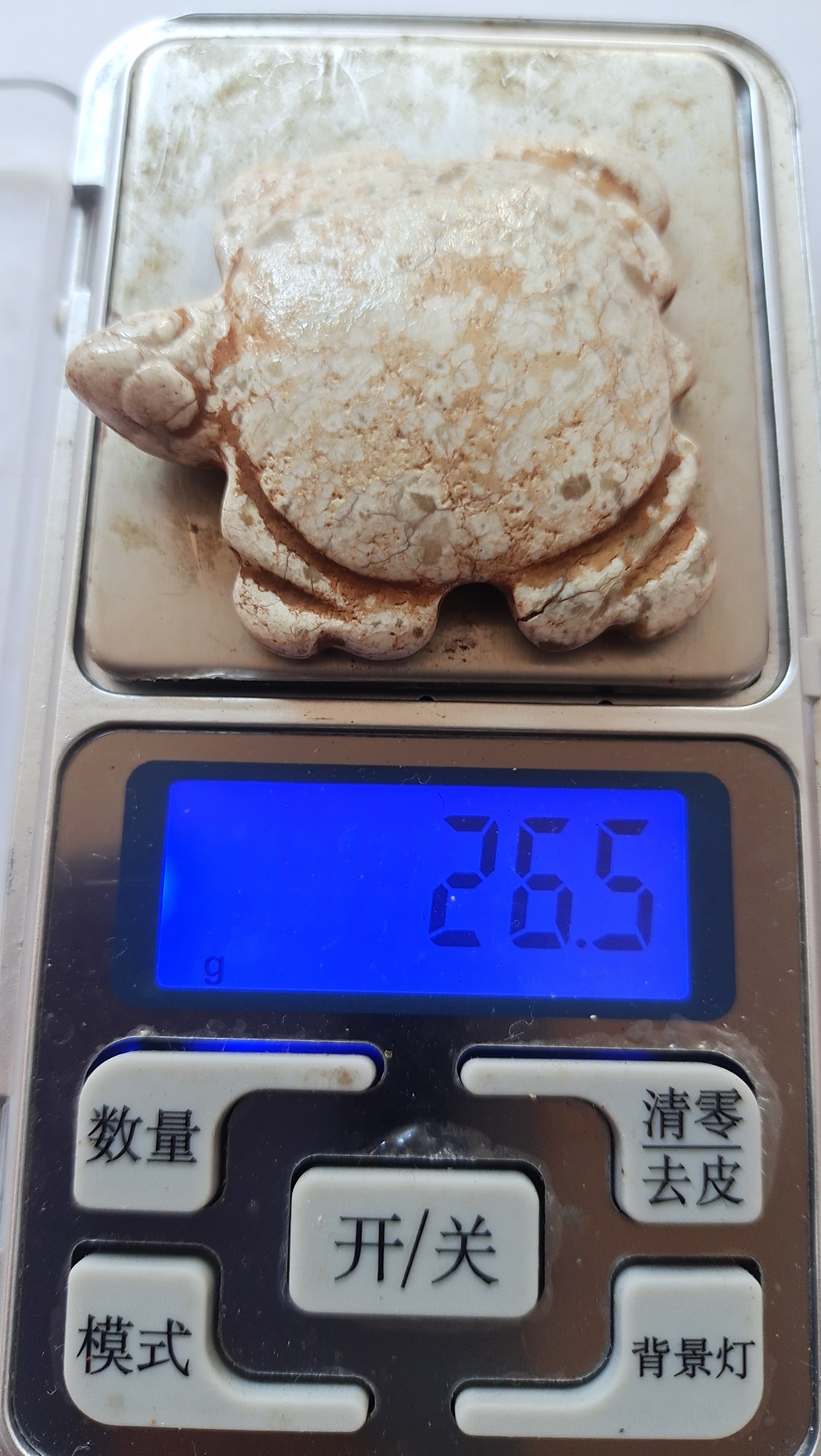 文化期鸡骨白玉龟