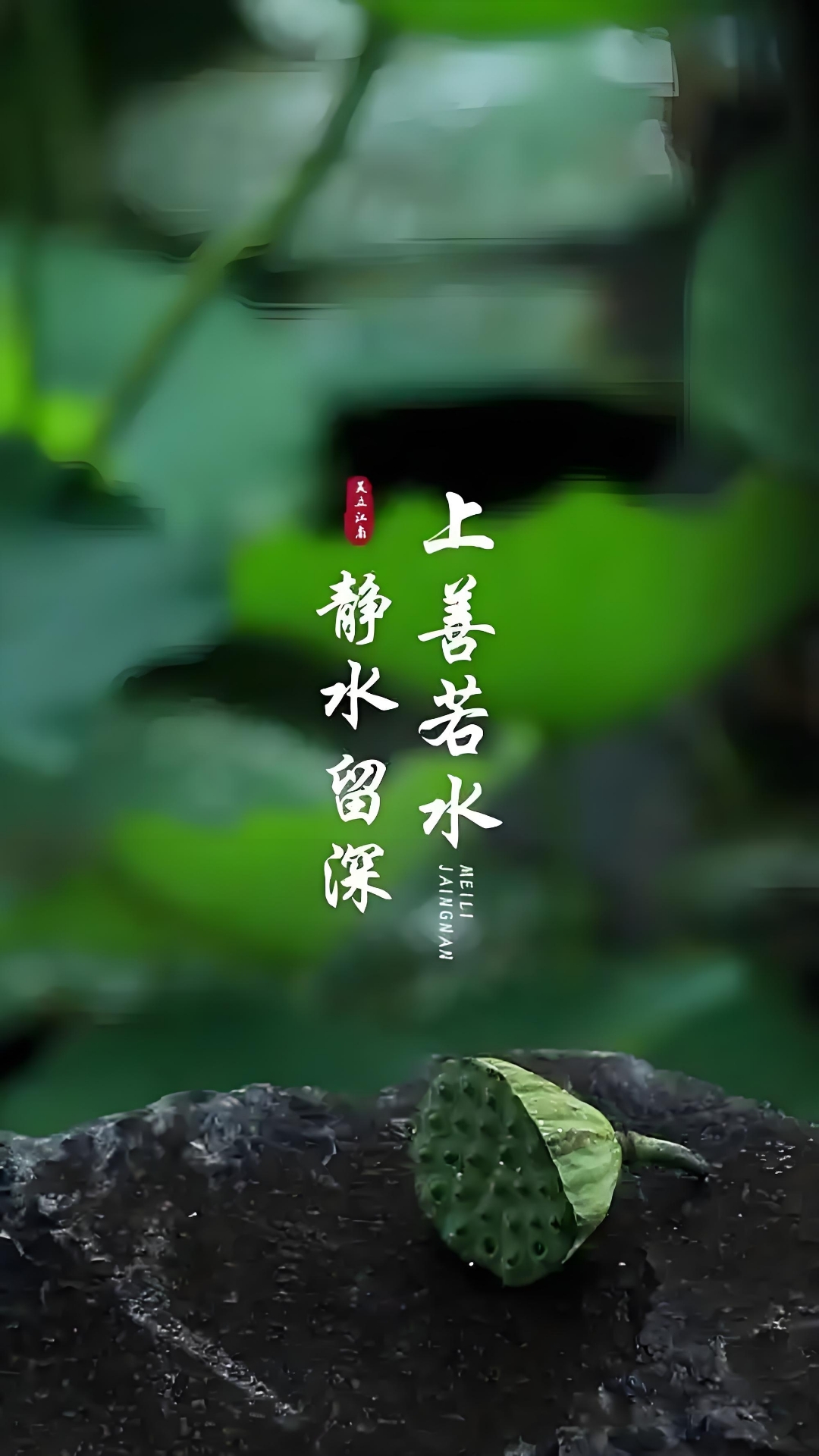 天地间至美之物,莫若一泓静水